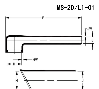 MS-2D/L1 结构示意图