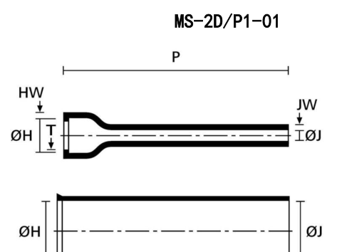 MS-2D/P1 结构示意图