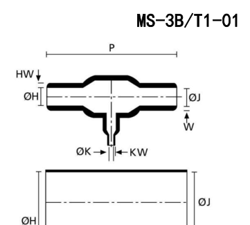 MS-3B/T1 结构示意图
