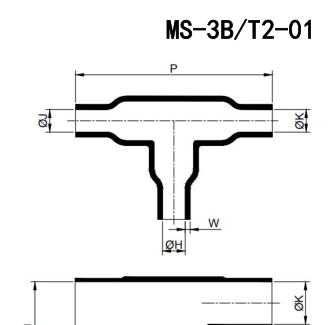 MS-3B/T2 结构示意图