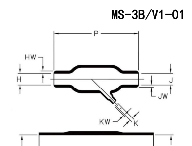 MS-3B/V1 结构示意图
