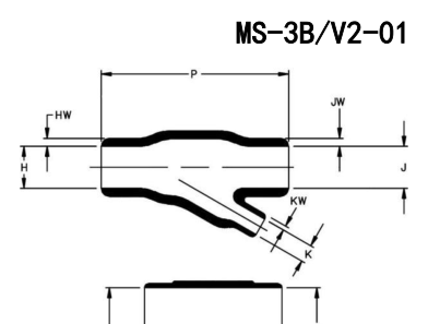MS-3B/V2 结构示意图
